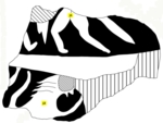W23Pd3015 A16.0100 ZK729 fK2sJgG1 si.jpg